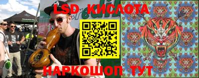 PSILOCYBIN Кудрово