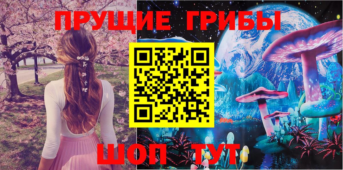 Галлюциногенные грибы Psilocybe  Вход с VPN  Усолье-Сибирское  Псилоцибиновые грибы мухоморы 